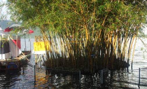 Lake Bratan Bali Sightseeing Tours & Subak Water System , Floating Water Temple Bali 