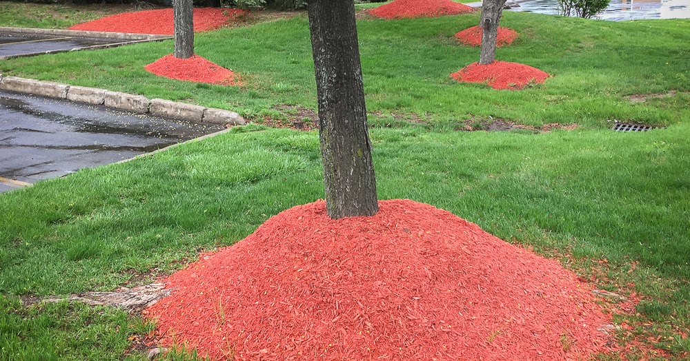 A Second Look Orange mulch
