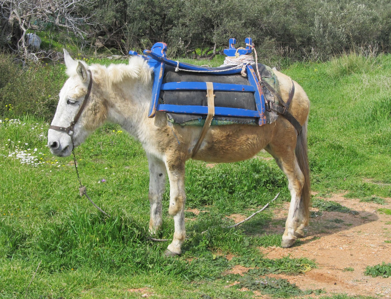 Greece Kalo Taxidi! Greek wooden donkey saddles works of art!