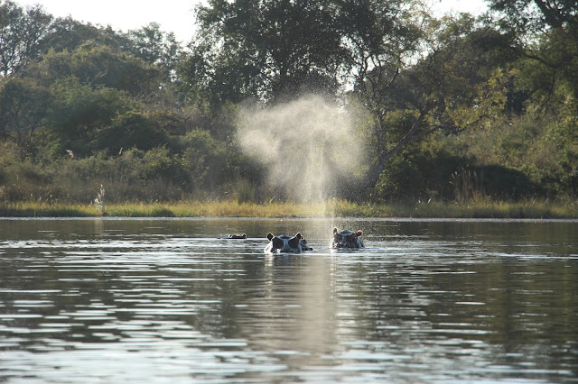 VIAGEM DE OVERLAND - Parte 3 - De Windhoek, passando pelo Okavango e Chobe, até às Cataratas de Vitória
