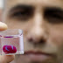 Cientistas de Israel criam o primeiro coração 3D "completo" a partir de tecido humano