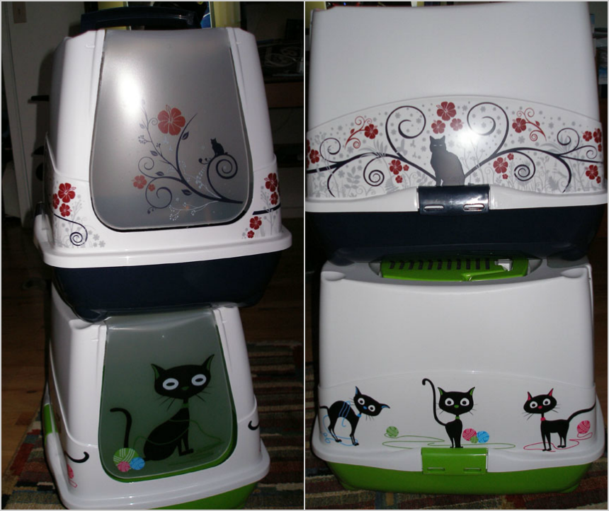 New Litter Box Issues Stunning Keisha