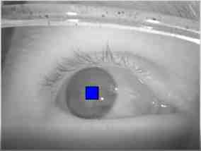 The VRguy's Blog: How does eye tracking work?