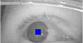 The VRguy's Blog: How does eye tracking work?