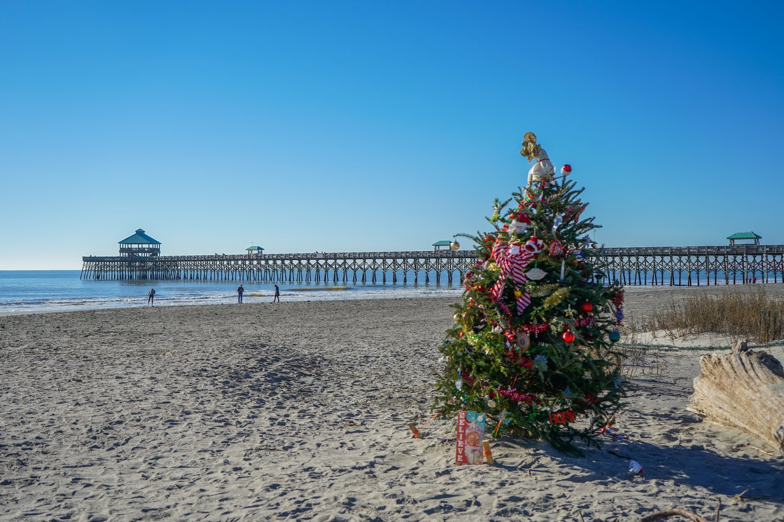 Charleston Daily Photo Merry Christmas from Folly Beach