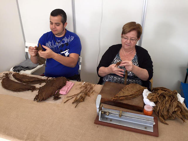 Augenblicke Fotografie Teneriffa Vilaflor De Chasna Pino Gordo