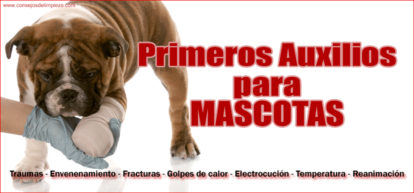 Primeros auxilios para mascotas