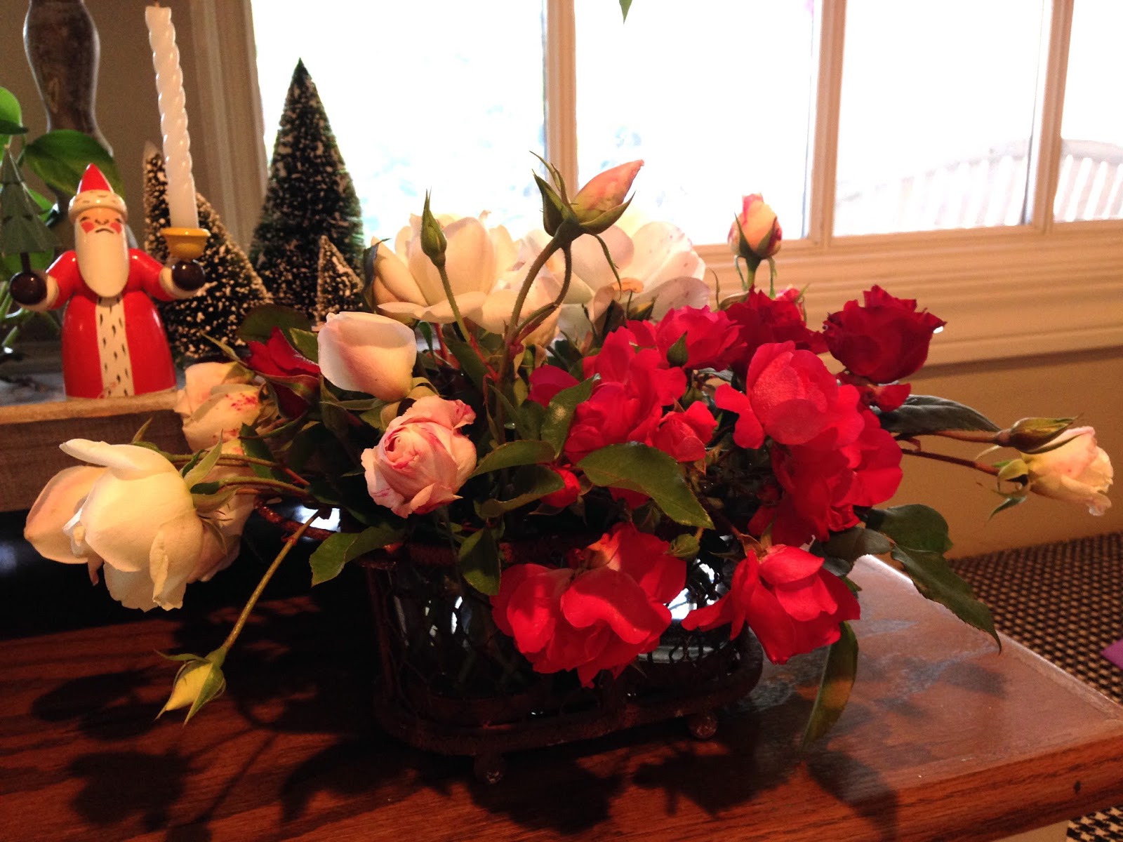 roses in December Knitionary