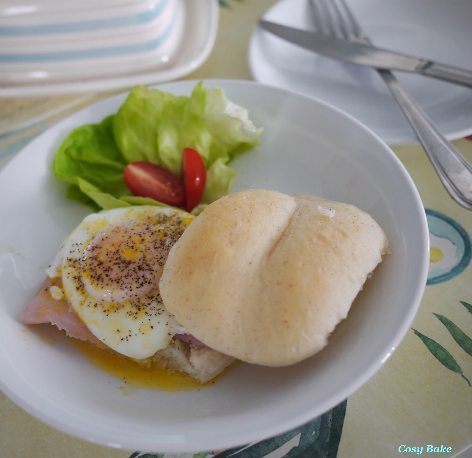 Poached Egg with Hollandaise Sauce