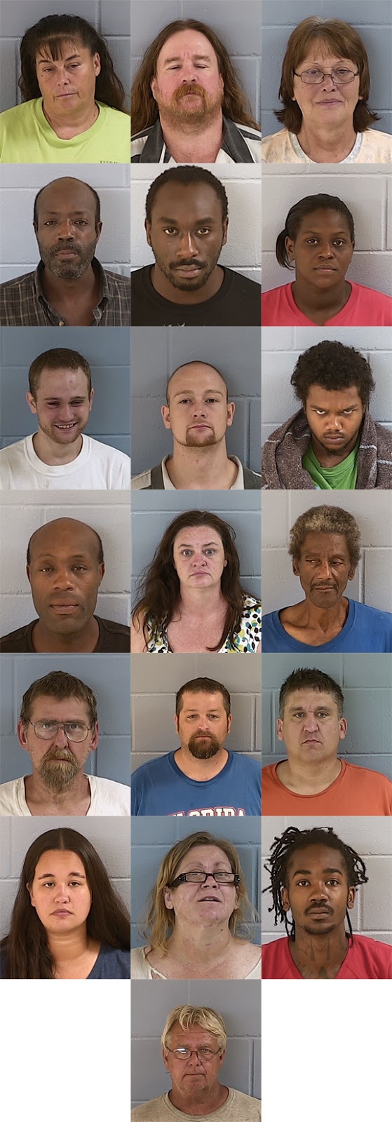 Levy County Sheriff's Star Operation “Bronson Ink”