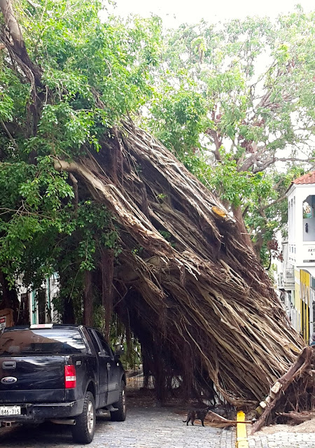 Puerto Rico - After Maria