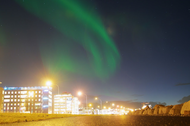 Aurora Borealis, The Northern Lights, The Northern Lights Tour, Iceland, reykjavik, Travelling, melihat Aurora, wisata