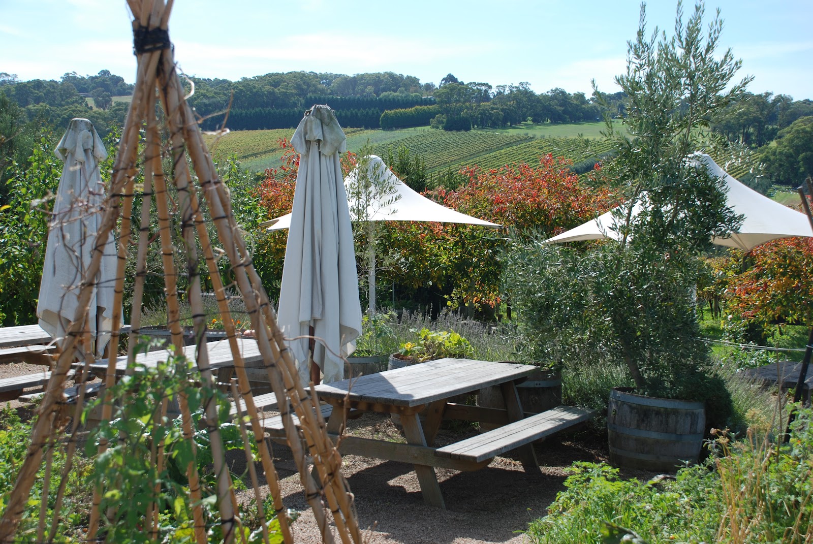 Design Friday inspiration winery, cafe and gardens