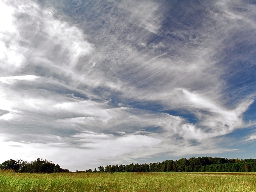 awan