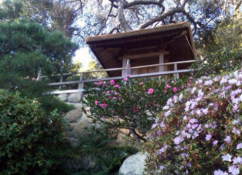 Ucla Faculty Association Hannah Carter Japanese Garden The
