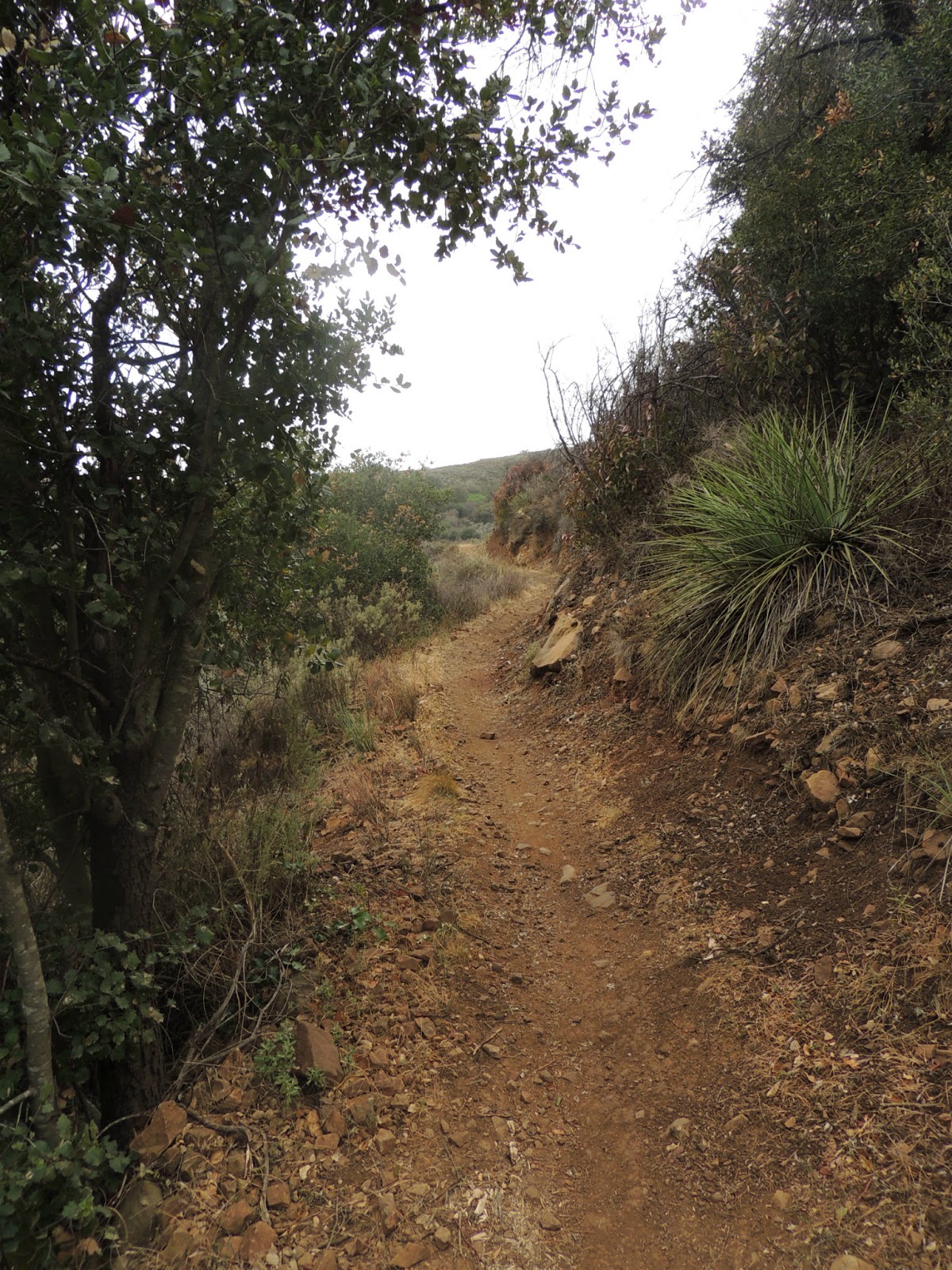 1000 Hikes in 1000 Days Day 890 Wood Canyon Vista Trail Backbone