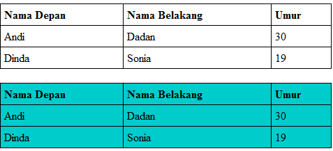 contoh tabel dengan style yang diambil dari ID