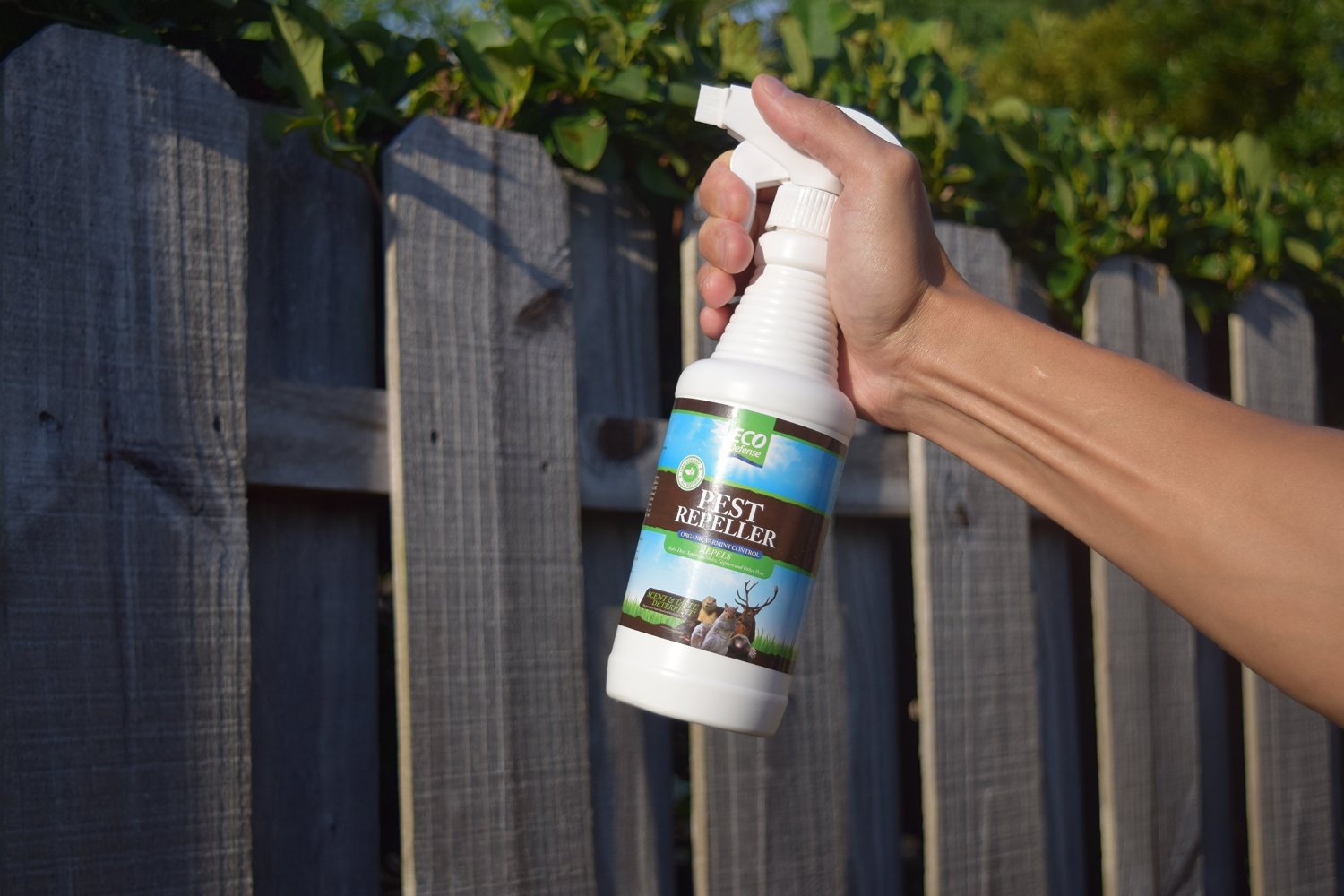 Simple Savings ORGANIC Pest Repellent Review By Eco Defense Review