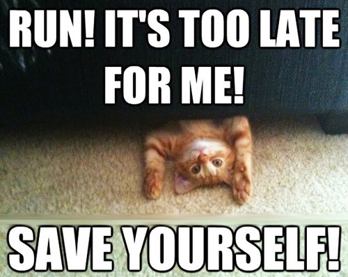 Unity: Save Scene vs. Save Project ~ Crystal Tenn