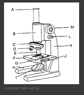 fungsi bagian-bagian mikroskop
