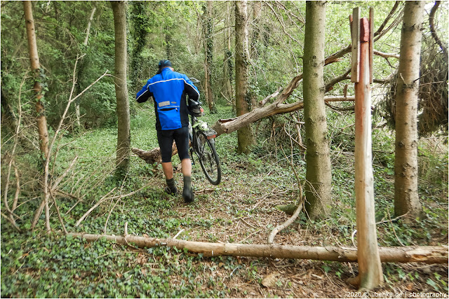 Regensburger Tagebuch Hauzenstein Und Die Grafliche Familie