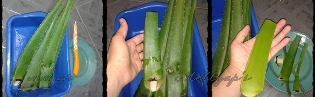 Wow! Ini Yang Terjadi Setelah Rutin Menggosokkan Lidah Buaya ke Wajah Wow! Ini Yang Terjadi Setelah Rutin Menggosokkan Lidah Buaya ke Wajah