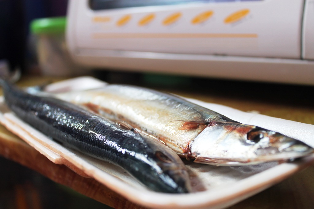 Mackerel Canned Fish, Mackerel Tomato Sauce, Mackerel Tin Fish, Price