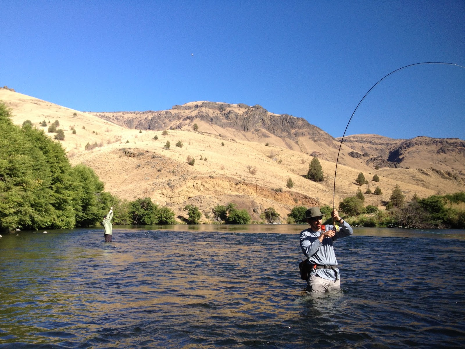 Fly Fish Oregon Water Time Report July Trout Fishing on the Deschutes