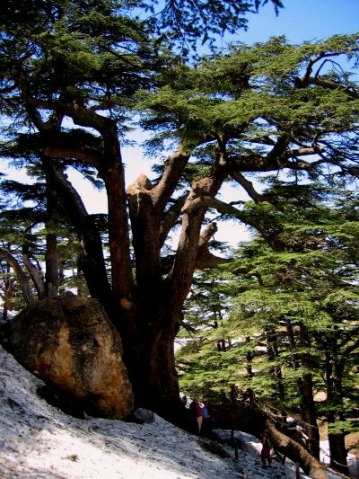 Tag Und Nacht Gedanken Dezember 2018