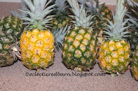 Eclectic Red Barn: Pineapple Crop