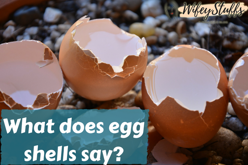 The Egg Factor 10 Surprising Egg facts that you must know! India
