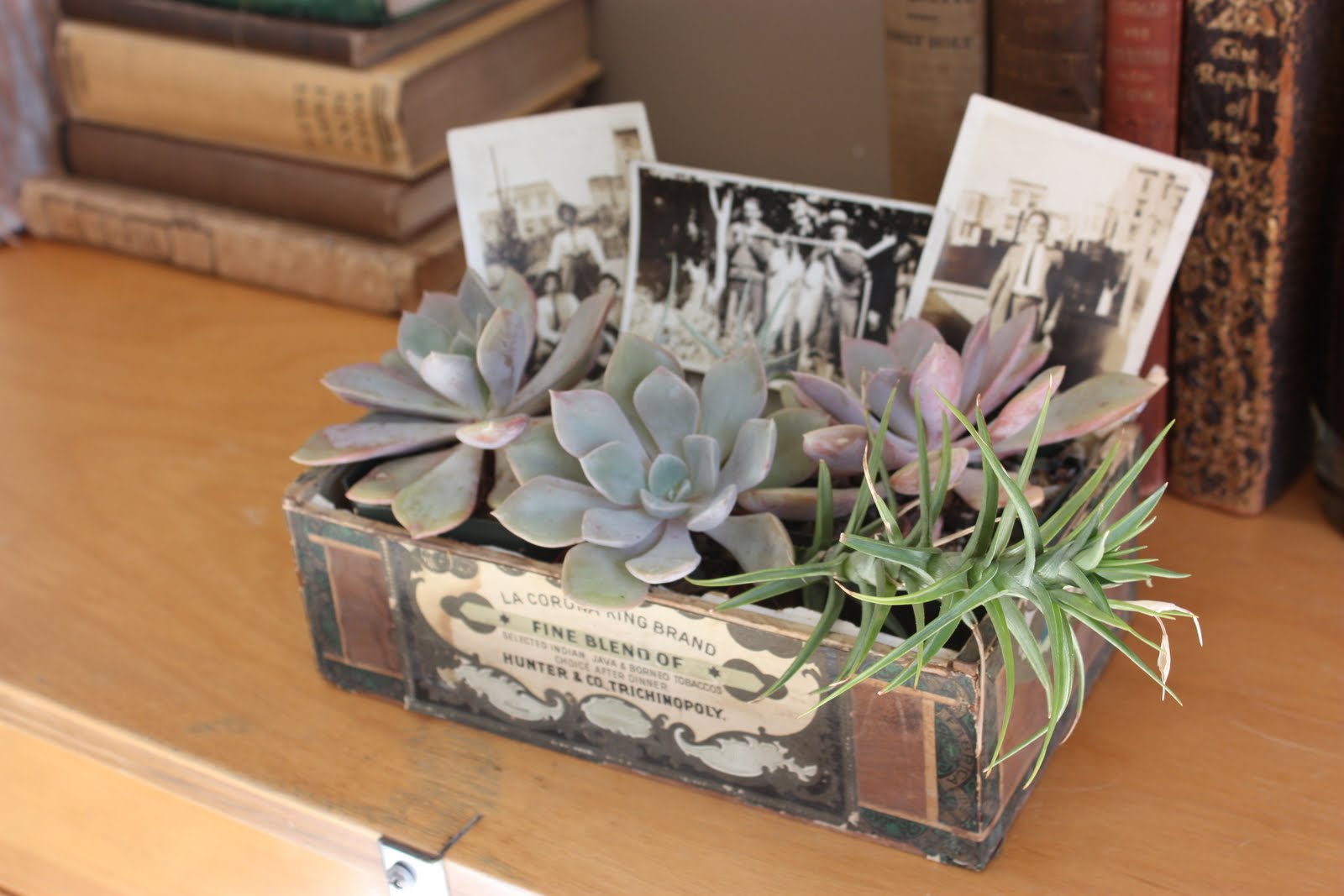 The Modern Mourner vintage cigar box for photos and flowers