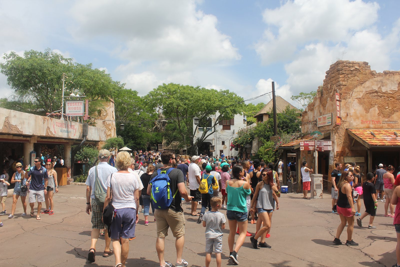 Stay, Stray, Play and Feast Walt Disney World’s Animal Kingdom Awesome Zoo, Exciting Theme