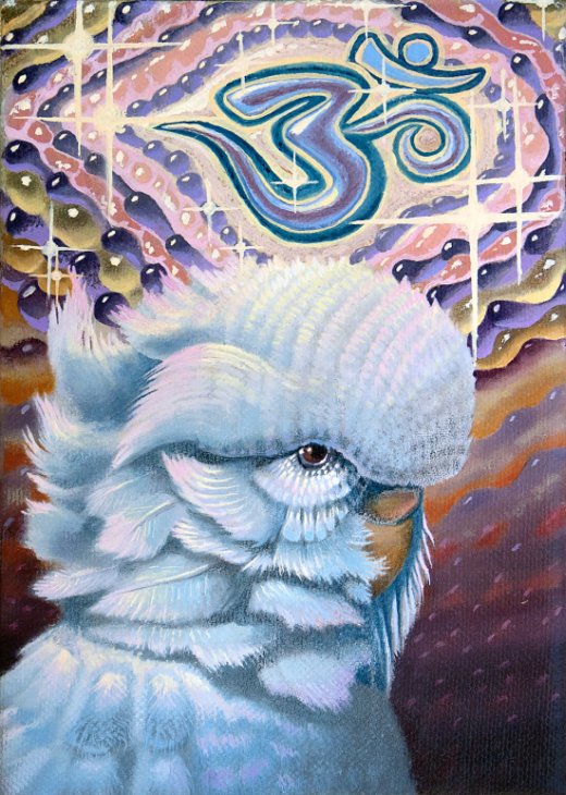 As surreais e psicodélicas pinturas de Cody Seekins Cody Seekins arte pinturas surreais psicodélicas cores oníricas