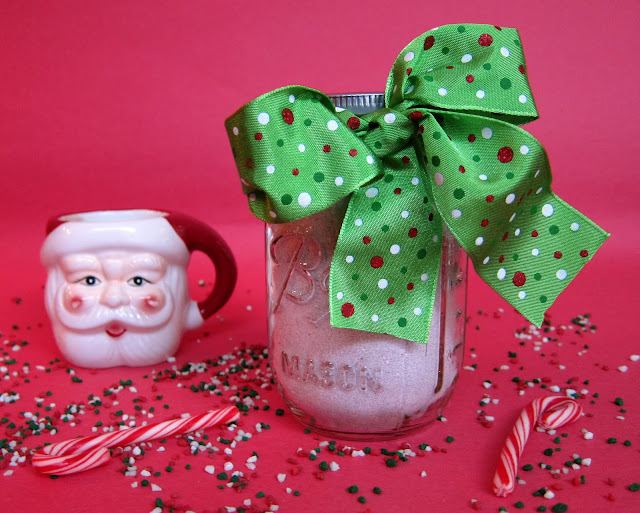 Homemade Peppermint Hot Chocolate Mix Plain Chicken