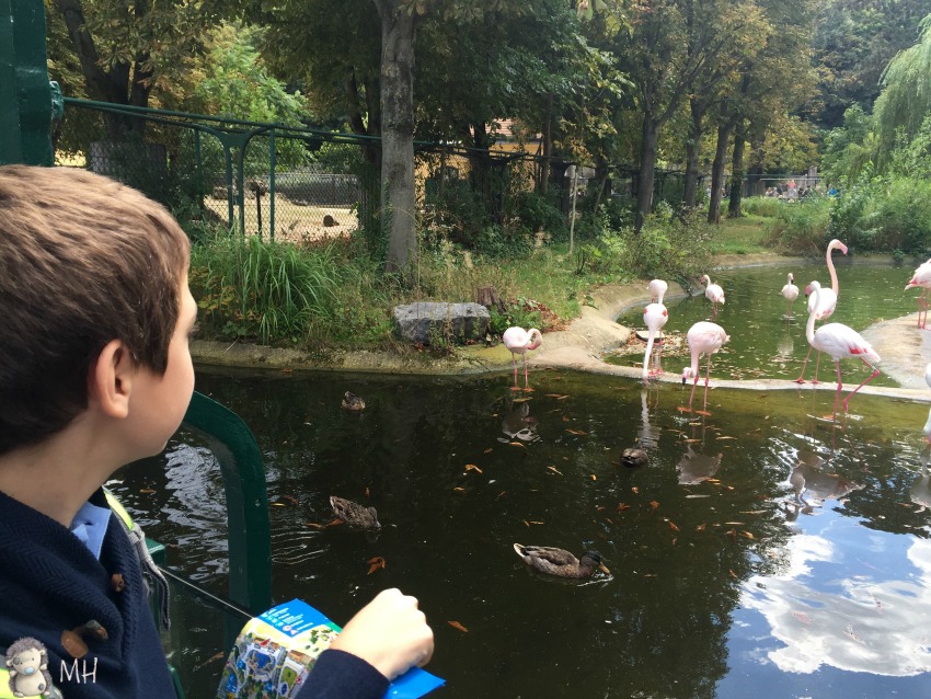 Zoo de Viena