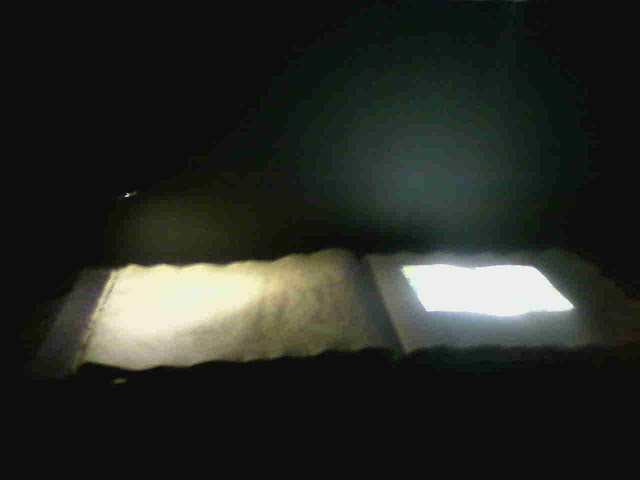 Shows the story kochi muziris biennale map