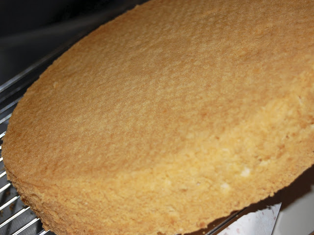 Nefis Lezzetler Pandispanya Keki