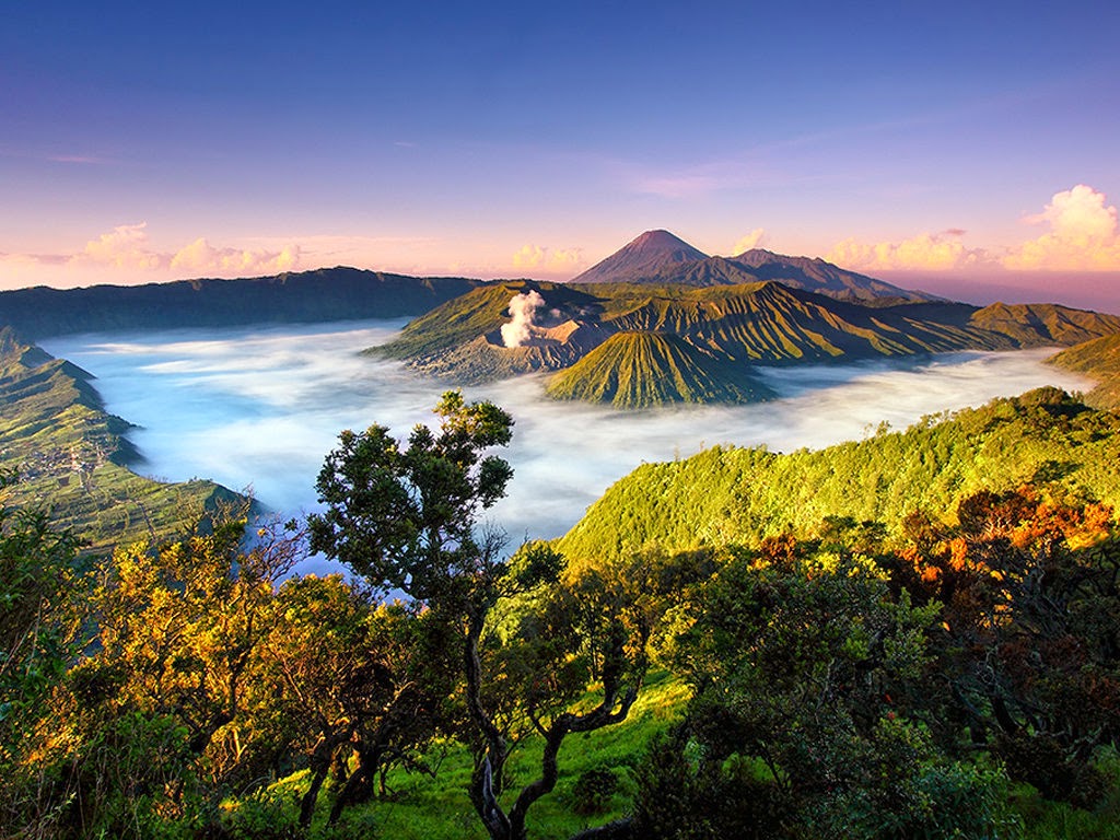7 best natural scenery in Probolinggo, East Java, Indonesia: top 7 Best ...
