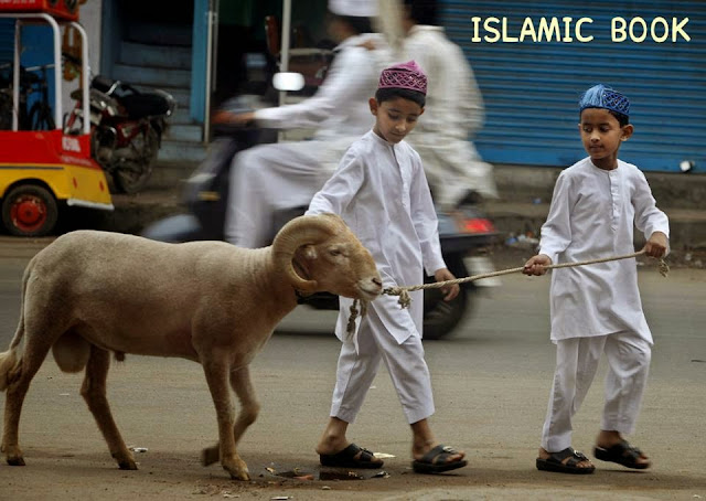 Bakra Eid Funny HD Images Downlaod Bakra Eid Funny HD Images Downlaod