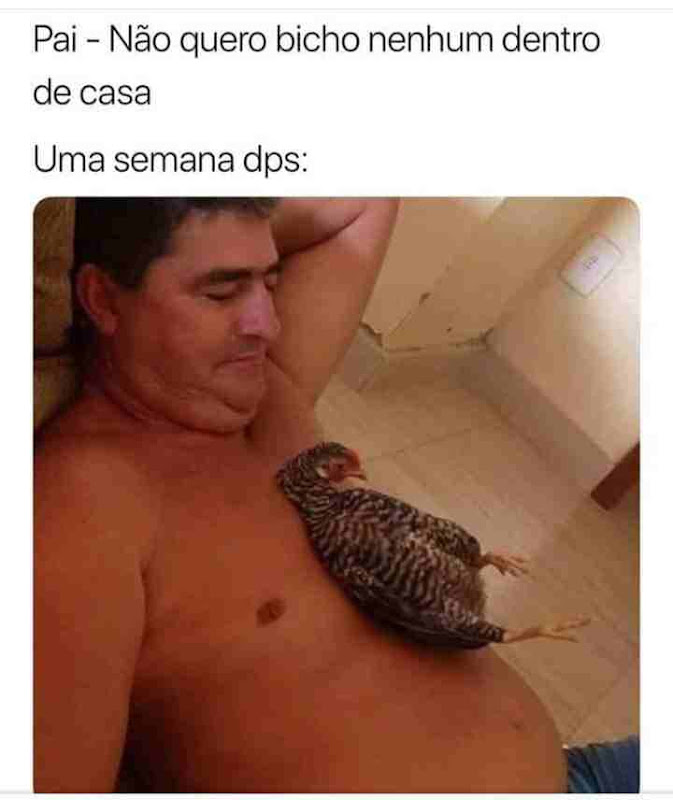 memes engraçados memes engraçados