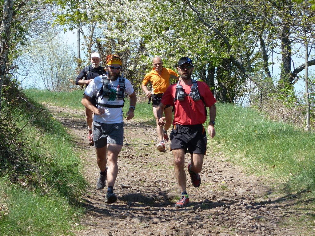 Sur le chemin de Stevenson (à pied mais sans Modestine