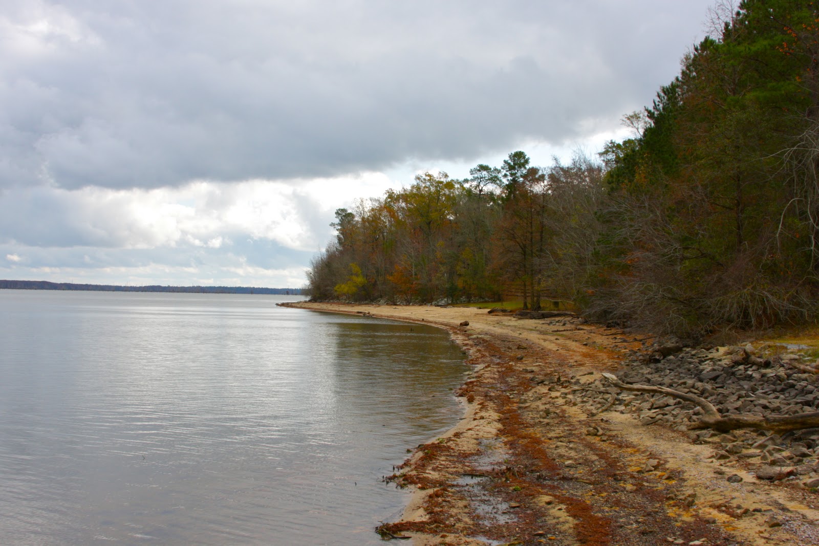 Soul Investing Santee State Park, SC