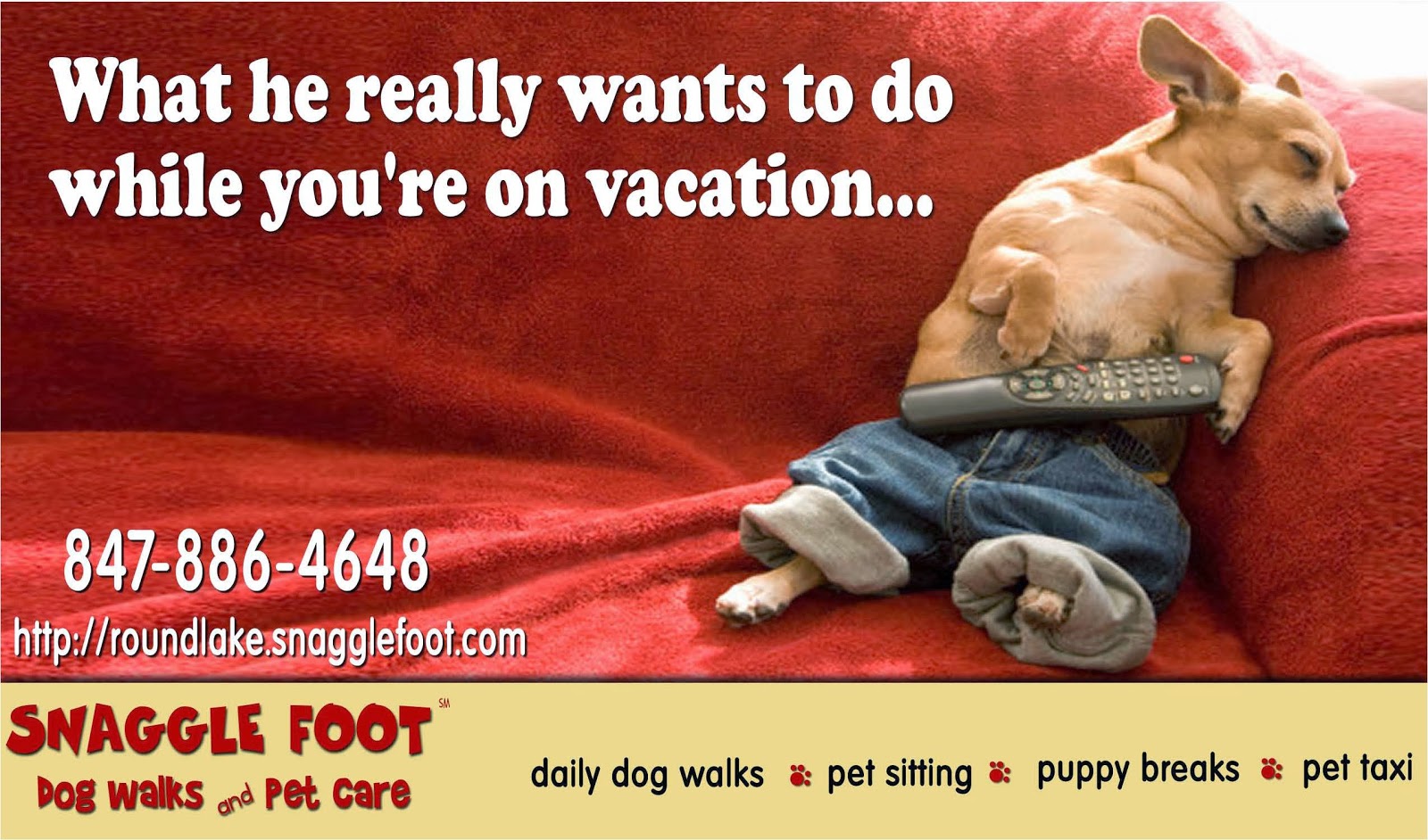 All About Our Pets 3 Health Reasons Why Pets Do Better At Home Than At