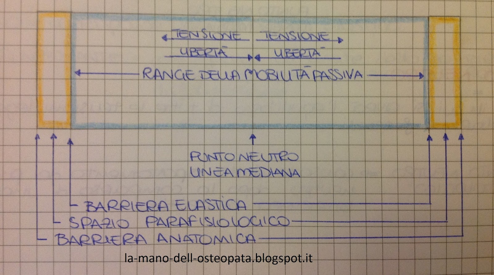 Osteopata Regalo Maglietta Divertente Per Osteopati - Definizione