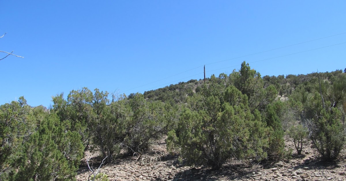 Chambers Realty Group Blog Lazy YU Ranches, Kingman AZ