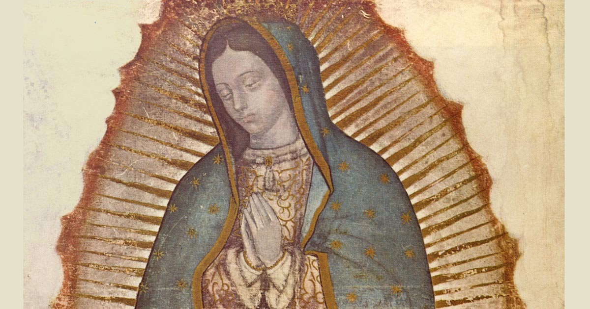 Our Lady Of Guadalupe Pictures 120