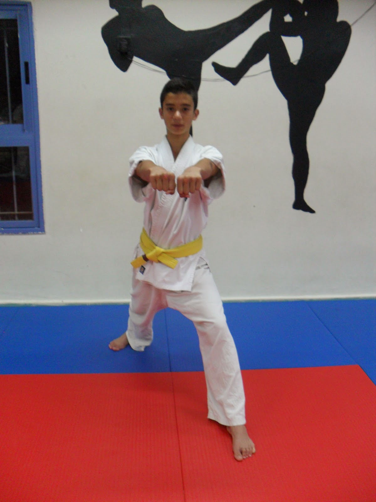 Japanese in Karate Japanese in Karate 23 “other punches”