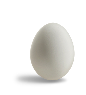 Natural+Turf+-+Egg.png