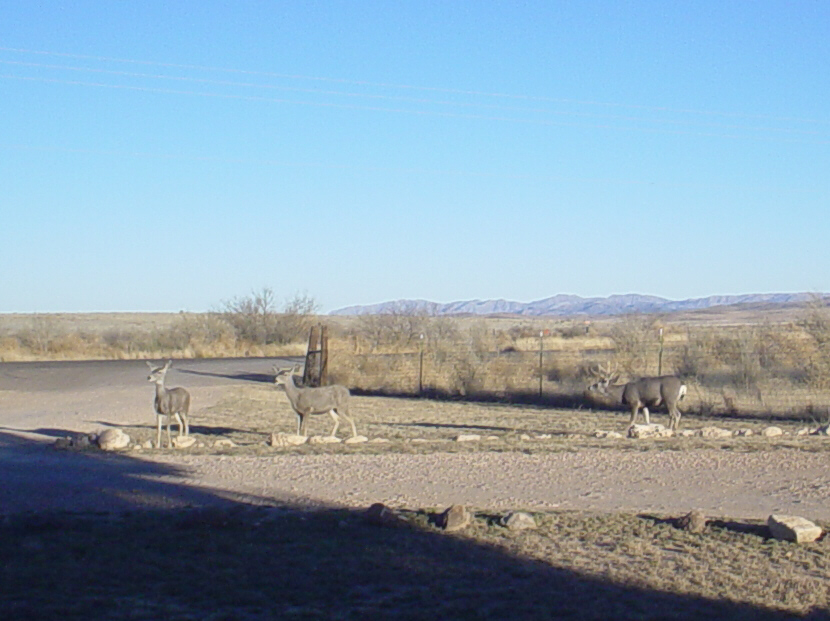 The Road B.C. Ranch R.V. Park, Alpine, Texas